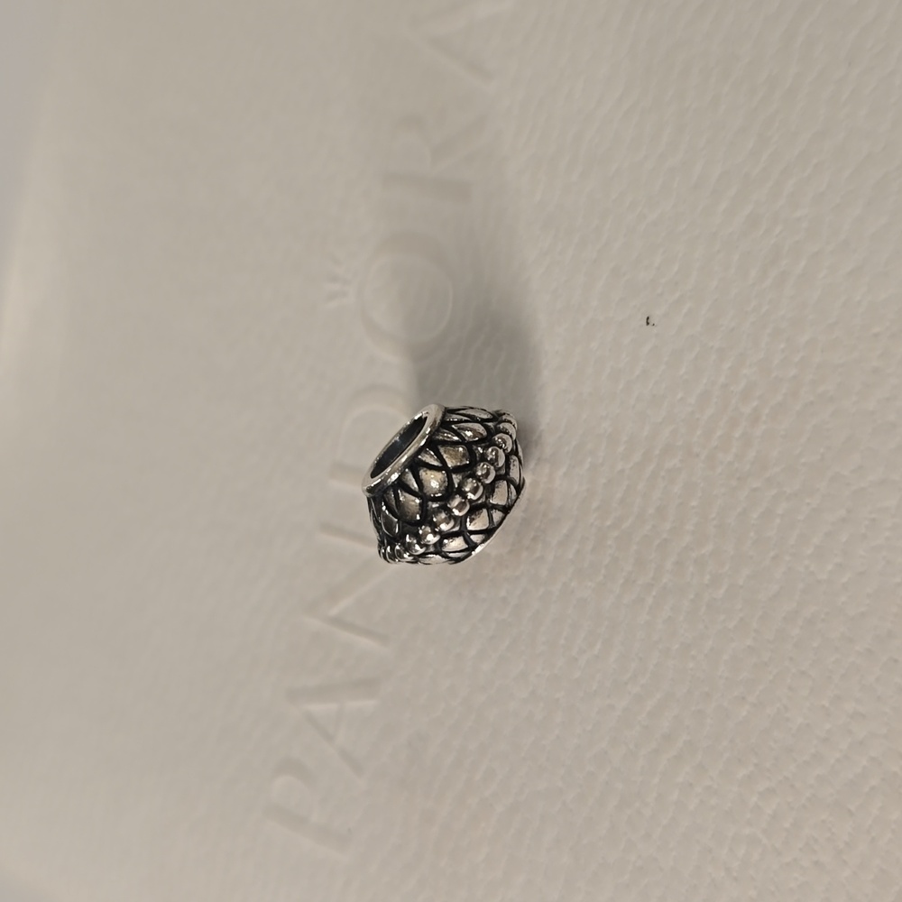 Authentic Pandora Charm - Picture 3 of 3